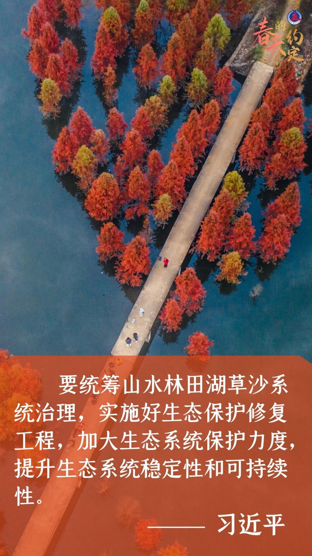 學(xué)習(xí)原聲｜春天的約定