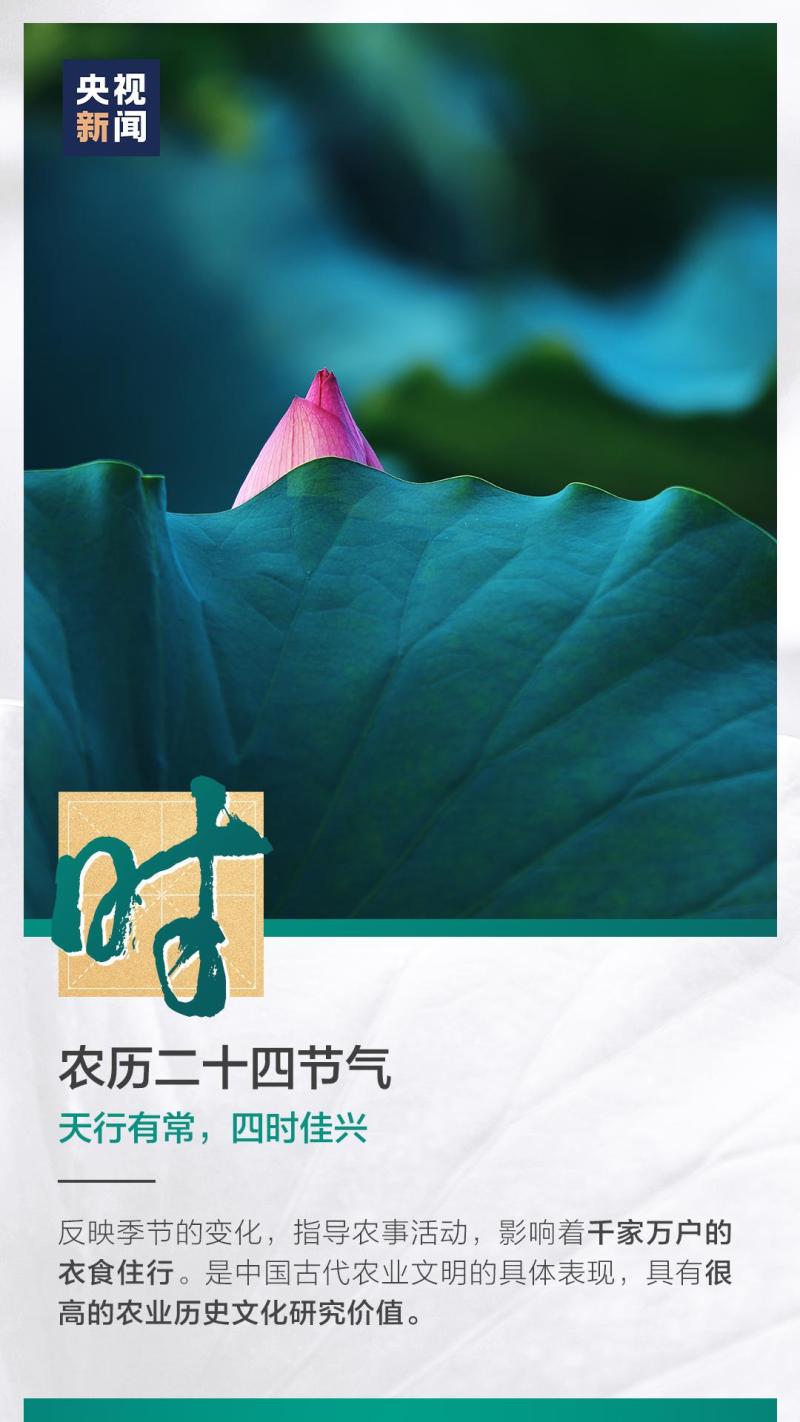 這也太浪漫了吧！