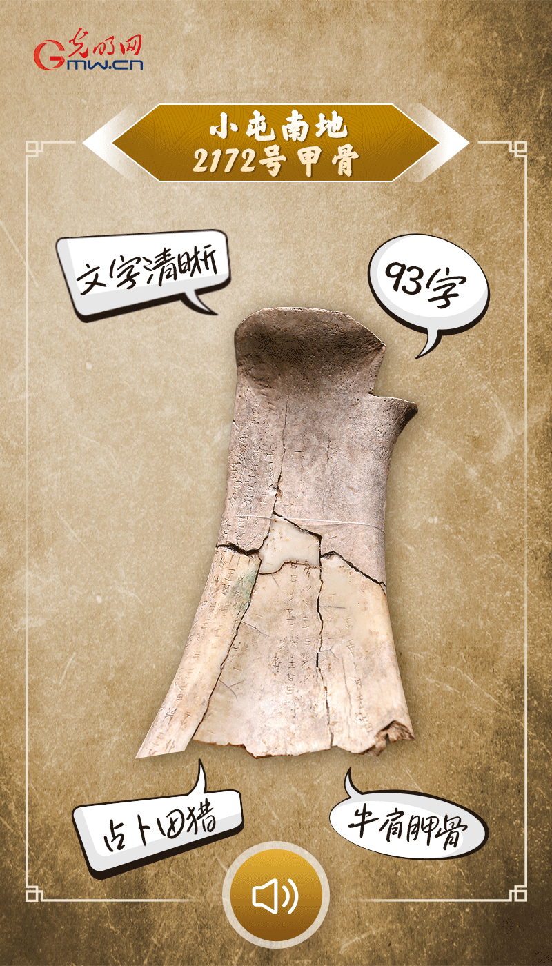 文物會說話 | 殷墟博物館新館開館啦，帶你奔赴“千年之約”