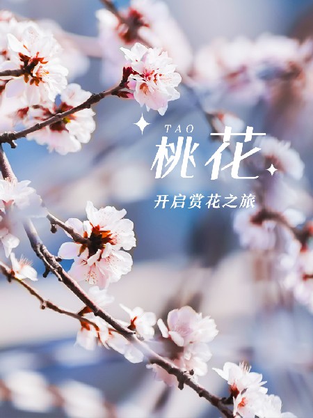 追花指南第三期！別等了 今天就去和桃花撞個滿懷