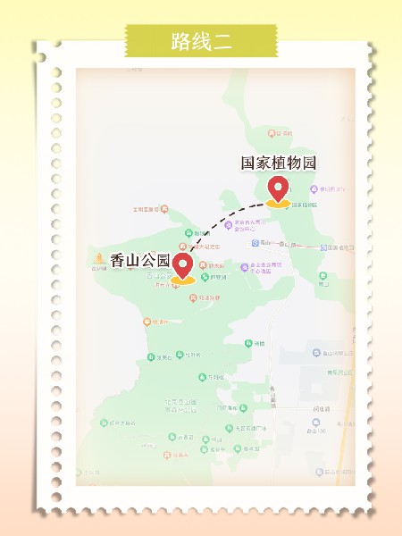 追花指南第六期！杏花雨 楊柳風(fēng) 北京最美的杏花在這里