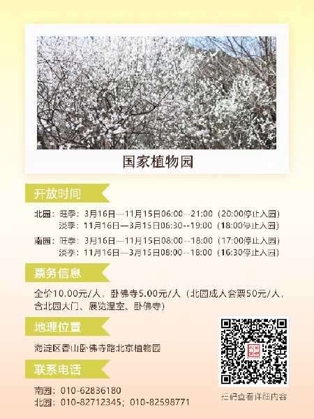 追花指南第六期！杏花雨 楊柳風(fēng) 北京最美的杏花在這里