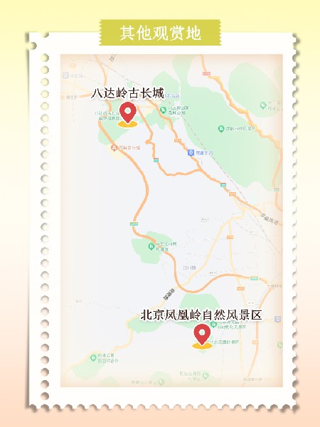 追花指南第六期！杏花雨 楊柳風(fēng) 北京最美的杏花在這里