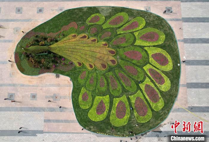 圖為航拍花壇。(無人機照片) 翟羽佳 攝