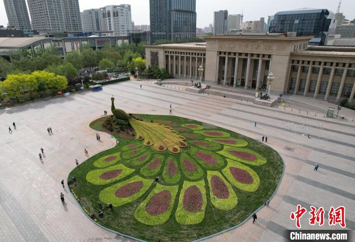 圖為航拍花壇。(無人機照片) 翟羽佳 攝