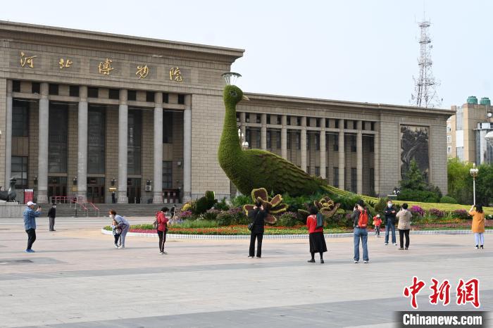 圖為游客在花壇前拍照打卡?！〉杂鸺?攝