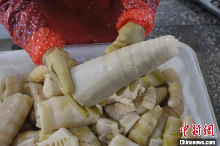 圖為整根腌制后撈出的酸筍?！⒖÷?攝