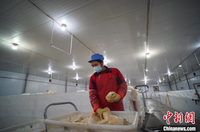 圖為一名工人正在查看酸筍腌制效果。　韋國政 攝