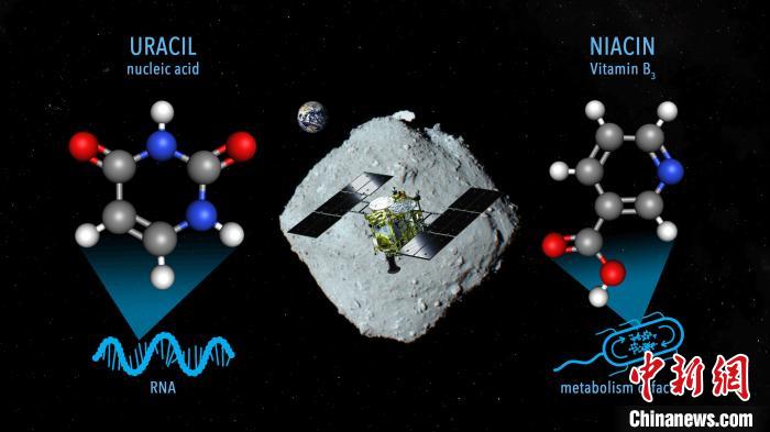 國(guó)際最新研究稱，近地小行星“龍宮”上發(fā)現(xiàn)尿嘧啶等核酸堿基