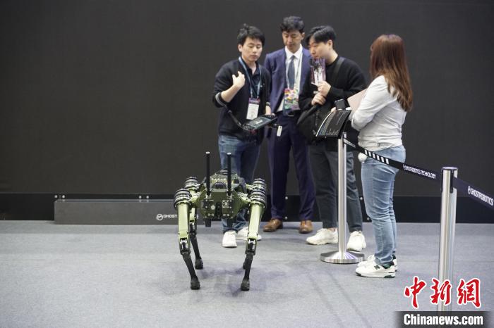 圖為觀眾在展會(huì)參觀機(jī)器人?！⑿?攝