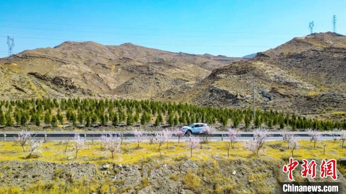 生態(tài)修復(fù)后逐漸變綠的賀蘭山石嘴山段?！∈焐绞形麄鞑抗﹫D