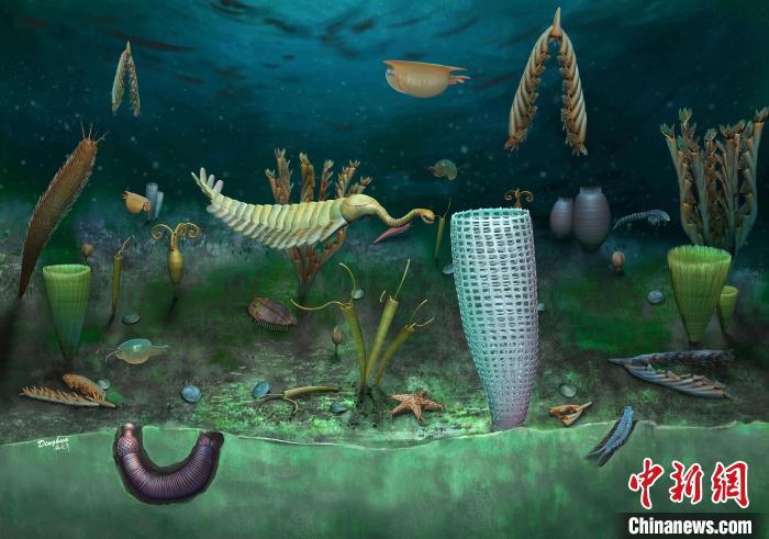 Castle Bank動物群藝術(shù)復(fù)原圖(Yang Dinghua繪制)?！∈┢樟指瘛ぷ匀?供圖