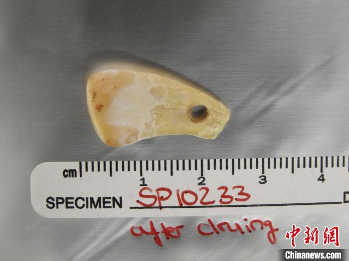 約2萬(wàn)年前墜飾復(fù)原古人類(lèi)DNA國(guó)際創(chuàng)新研發(fā)非破壞性提取方法