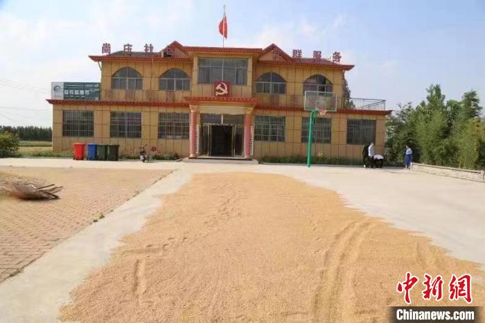 農(nóng)民在邳莊鎮(zhèn)尚莊村黨群服務(wù)中心大院里曬糧?！≠Z萌 攝