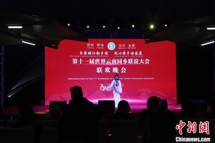 圖為第十一屆世界云南同鄉(xiāng)聯(lián)誼大會(huì)舉辦聯(lián)歡晚會(huì)。　崔永江 攝