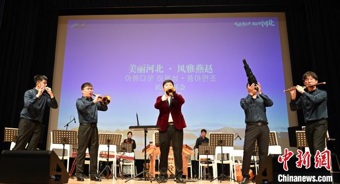 圖為音樂(lè)會(huì)現(xiàn)場(chǎng)?！∈谞栔袊?guó)文化中心供圖