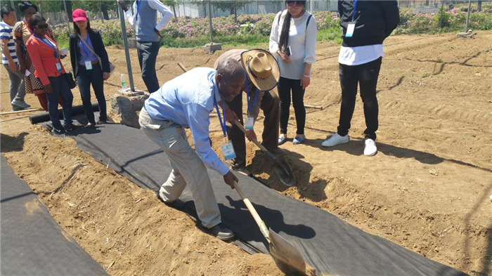 孫釗現(xiàn)場(chǎng)指導(dǎo)農(nóng)民耕種。受訪者供圖