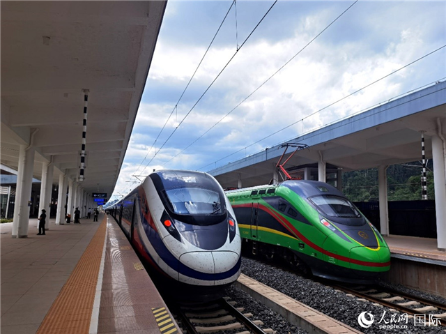 “復(fù)興號(hào)”和“瀾滄號(hào)”國際旅客列車?？吭诶蠐肽ザ≌?。人民網(wǎng) 杜明明攝