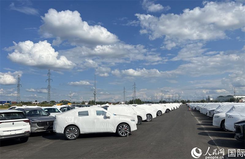 莫斯科別雷拉斯特物流中心內(nèi)的中國(guó)品牌汽車(chē)。人民網(wǎng)記者 申佳平攝