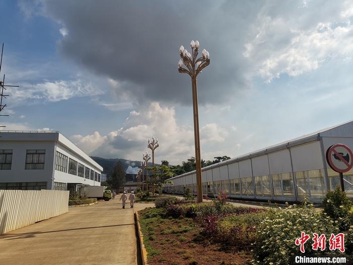 圖為園區(qū)生活區(qū)。 受訪者供圖