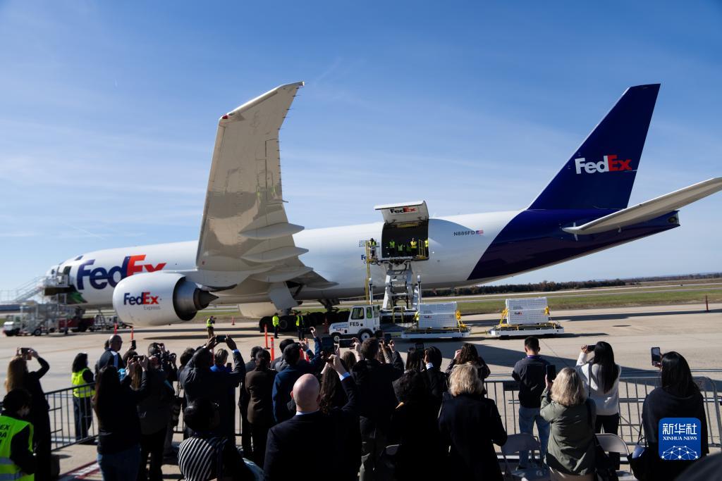 11月8日，在美國(guó)弗吉尼亞州的華盛頓杜勒斯國(guó)際機(jī)場(chǎng)，裝有大熊貓的特制“旅行包廂”準(zhǔn)備運(yùn)上專機(jī)。新華社記者劉杰攝