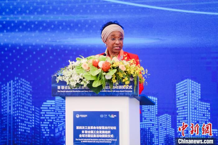 聯合國工業(yè)發(fā)展組織總干事代表兼執(zhí)行干事法圖 海達拉致辭。