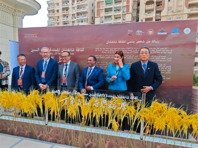 圖為現(xiàn)場(chǎng)嘉賓為特展啟幕。開羅中國文化中心供圖