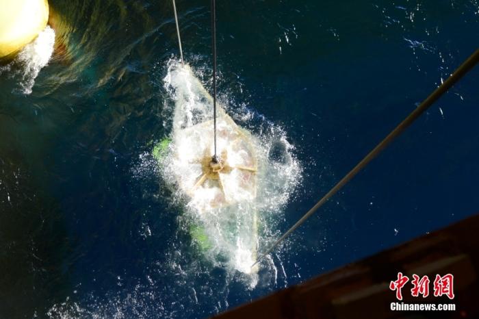 機器人入水瞬間。<a target='_blank' href='/' _fcksavedurl='/' ><p  align=