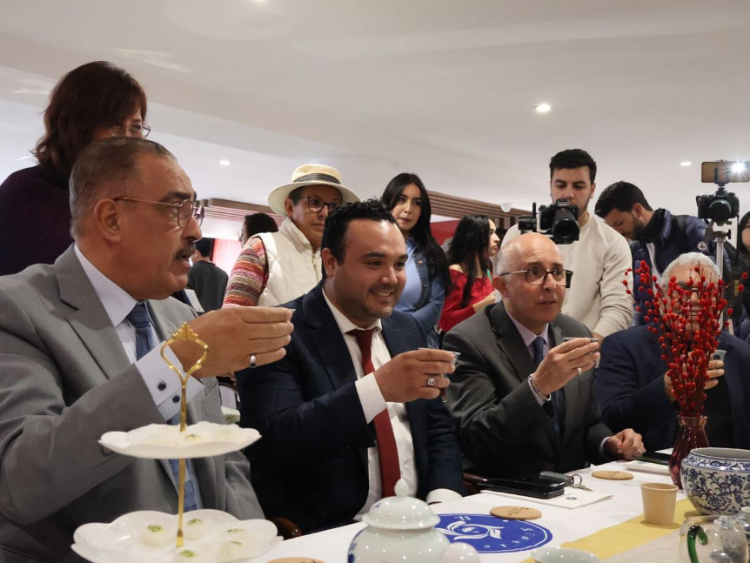 觀眾興致勃勃地體驗茶藝。陳芷珊攝