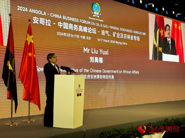 中國(guó)政府非洲事務(wù)特別代表劉禹錫。人民網(wǎng)記者 張榮攝