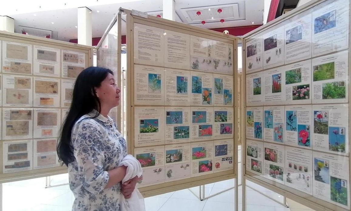 藥用植物極限片展覽場(chǎng)景。第七屆阿聯(lián)酋集郵展主辦方供圖