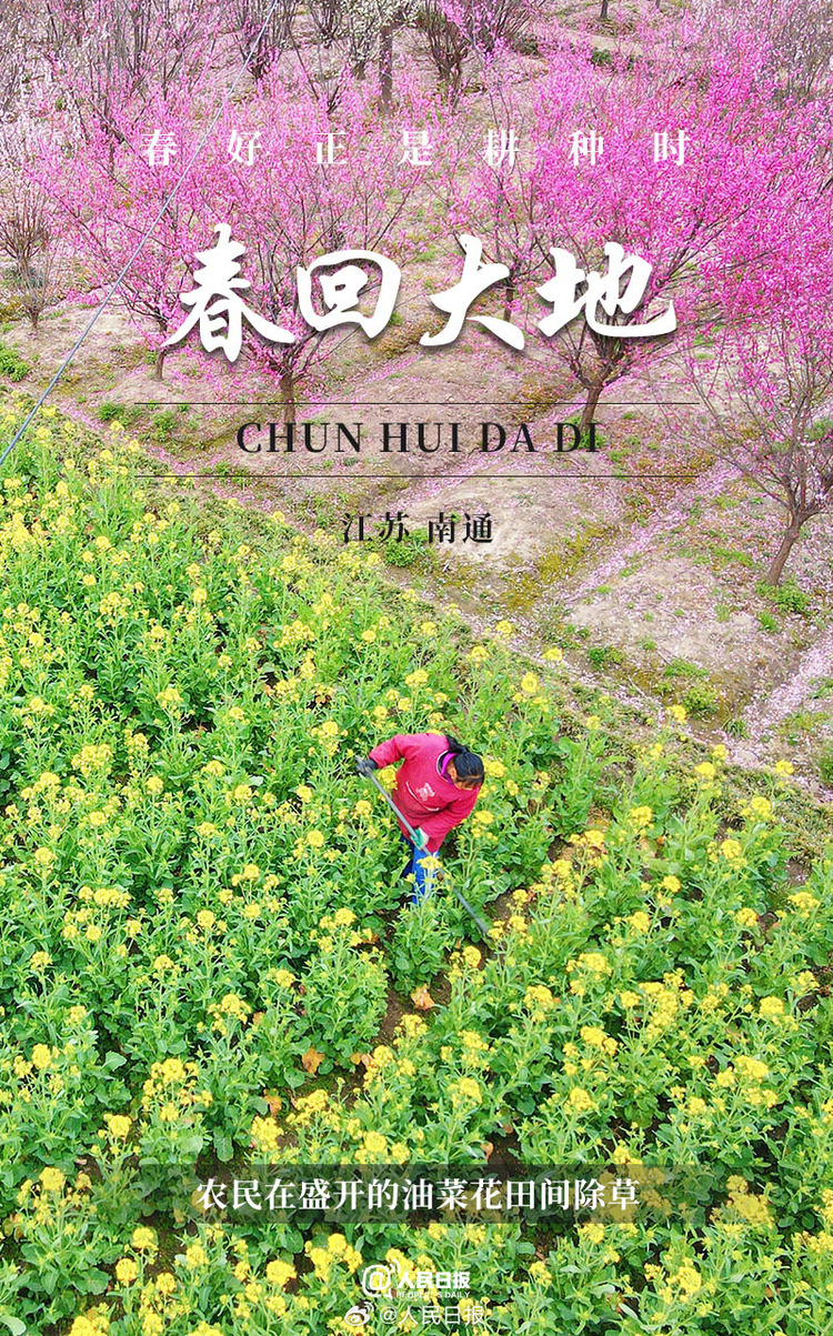 生機(jī)盎然！用課本封面打開春耕畫卷