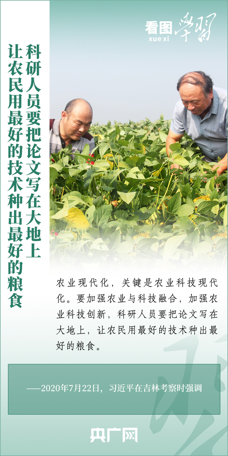 看圖學(xué)習(xí)丨推廣良田、良種、良法、良機(jī) 給農(nóng)業(yè)現(xiàn)代化插上科技的翅膀