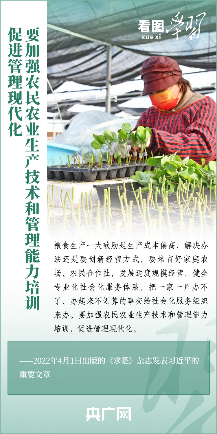 看圖學(xué)習(xí)丨推廣良田、良種、良法、良機(jī) 給農(nóng)業(yè)現(xiàn)代化插上科技的翅膀