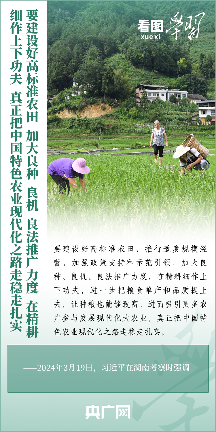 看圖學(xué)習(xí)丨推廣良田、良種、良法、良機(jī) 給農(nóng)業(yè)現(xiàn)代化插上科技的翅膀