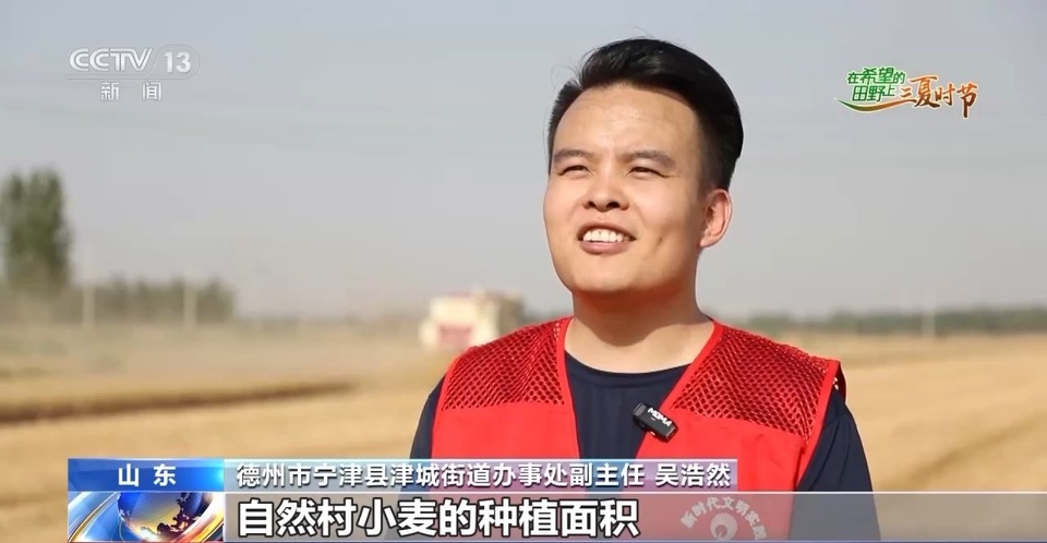 “三夏”生產(chǎn)思維導(dǎo)圖安排上了！還有政府大院等你來(lái)“曬”