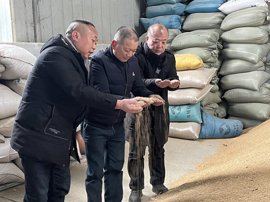 桃江種糧大戶與農(nóng)村農(nóng)業(yè)局技術(shù)人員正在查看春耕種子情況。受訪單位供圖