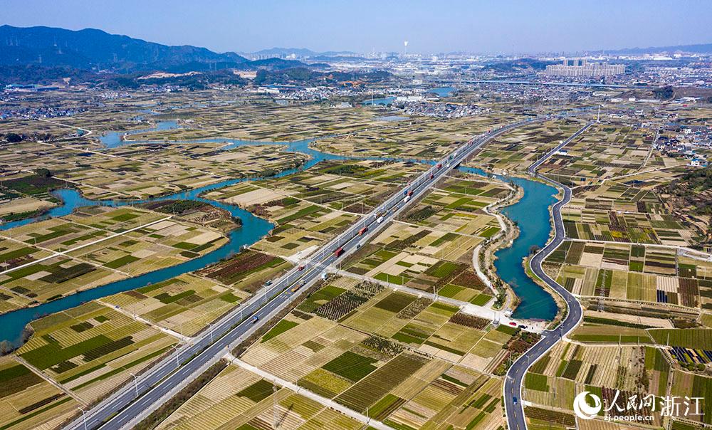 寧波市北侖區(qū)柴橋街道的萬畝花田猶如打翻的調色盤。人民網 章勇濤攝