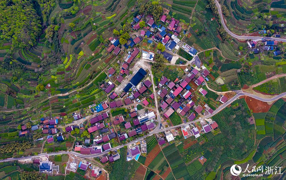 4月1日，紹興市新昌縣東茗鄉(xiāng)下巖貝村風光秀麗，茶園旖旎。人民網(wǎng) 章勇濤攝