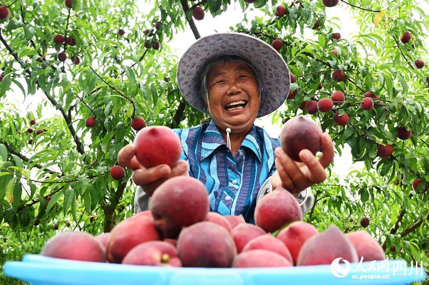 豐收的喜悅。蘭自濤攝