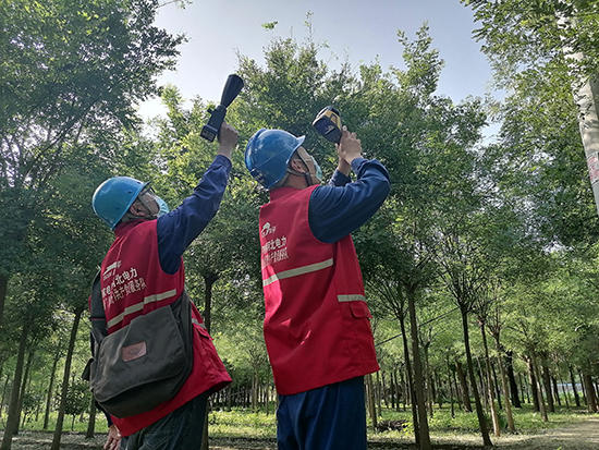 工作人員進(jìn)行紅外測(cè)溫及超聲波局部放電檢測(cè)。 王亮攝