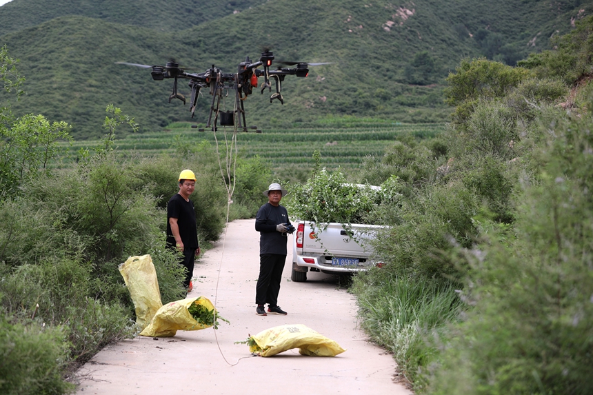 在石家莊市井陘縣吳家窯鄉(xiāng)長峪村荒山造林現(xiàn)場，一名無人機(jī)手操控?zé)o人機(jī)運(yùn)輸樹苗。王保龍攝