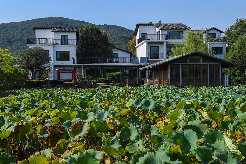 雨悅山房負(fù)責(zé)人原來在馬達(dá)加斯加打理酒店，之所以“從馬達(dá)加斯加到肥東”，源于對家鄉(xiāng)民宿前景看好。吳芳攝
