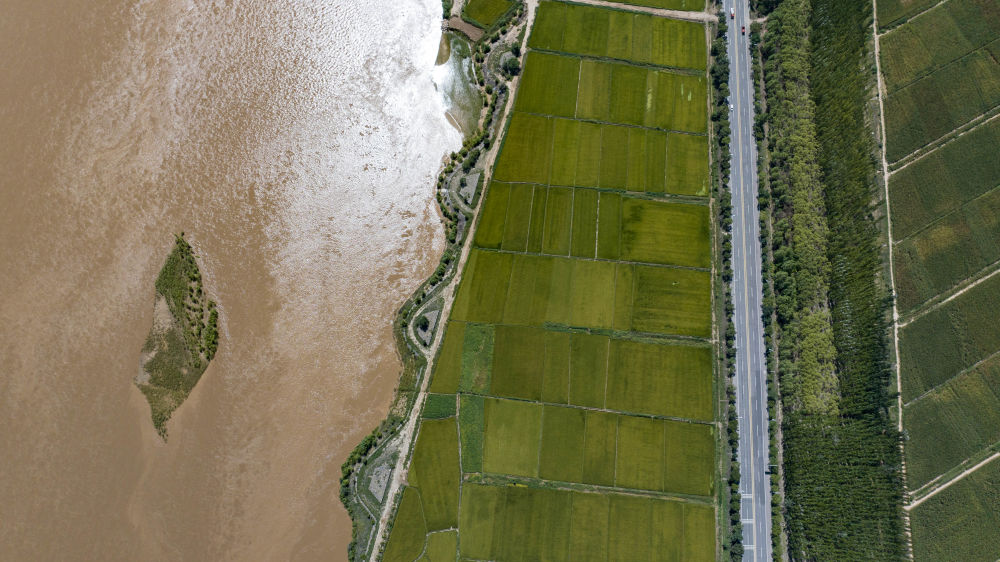 鏡觀·回響丨西部生態(tài)建設：以高水平保護支撐高質量發(fā)展
