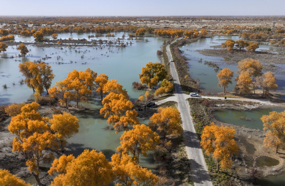 鏡觀·回響丨西部生態(tài)建設：以高水平保護支撐高質量發(fā)展