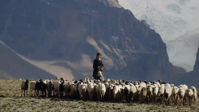 你看了嗎？藏語版《日光之城》“含金量”還在上升！