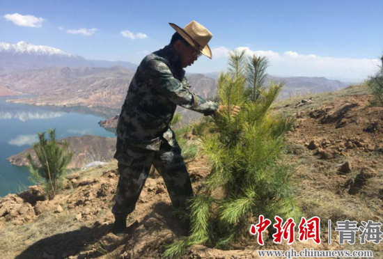 圖為尖扎干部職工生態(tài)建設(shè)和環(huán)境保護(hù)現(xiàn)場。尖宣 供圖