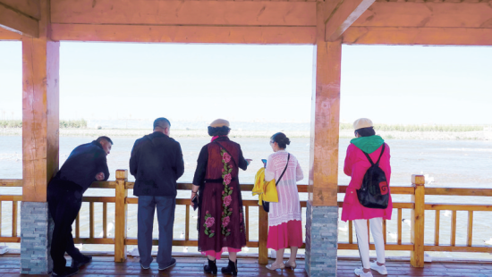 湟魚洄游奇觀吸引游人。