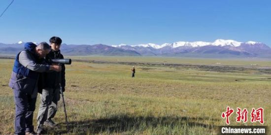 圖為工作人員正在進(jìn)行黑頸鶴衛(wèi)星跟蹤和環(huán)志工作?！∑钸B山國(guó)家公園青海省管理局供圖 攝