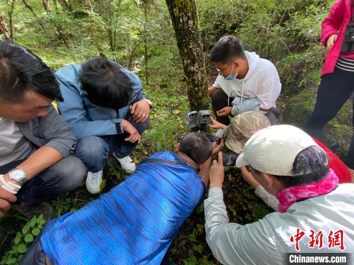 圖為訪客正在查看紅外相機中的拍攝畫面。　李江寧 攝